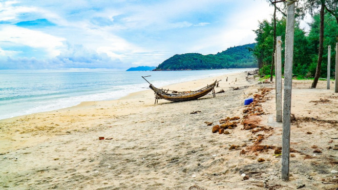 Bờ biển, rừng phòng hộ ở TT-Huế bị sóng dữ xé nát - 6