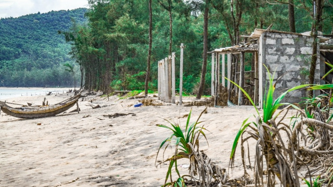 Bờ biển, rừng phòng hộ ở TT-Huế bị sóng dữ xé nát - 7