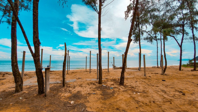 Bờ biển, rừng phòng hộ ở TT-Huế bị sóng dữ xé nát - 8