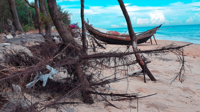 Bờ biển, rừng phòng hộ ở TT-Huế bị sóng dữ xé nát - 9