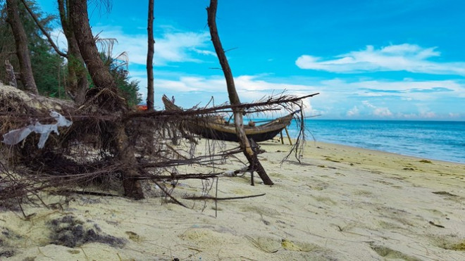 Bờ biển, rừng phòng hộ ở TT-Huế bị sóng dữ xé nát - 19