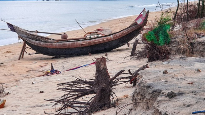 Bờ biển, rừng phòng hộ ở TT-Huế bị sóng dữ xé nát - 20