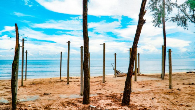 Bờ biển, rừng phòng hộ ở TT-Huế bị sóng dữ xé nát - 25