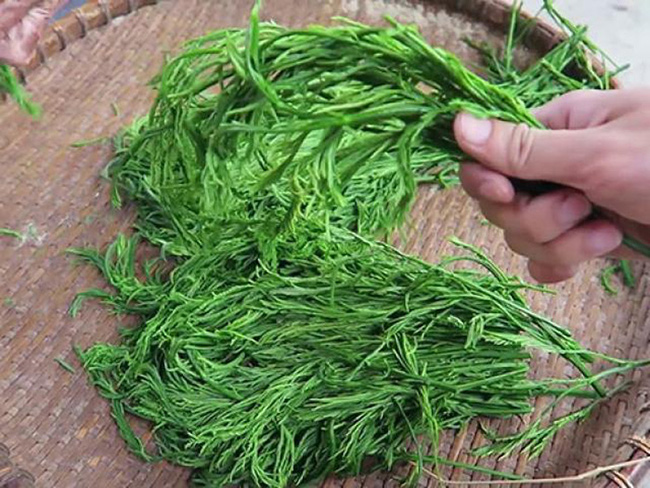 Việt Nam có 10 loại rau rừng mọc dại giá