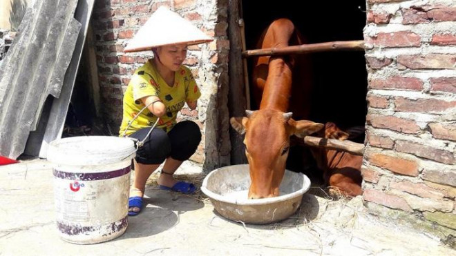 Hạnh phúc đơn sơ của người mẹ “chim cánh cụt” - 2