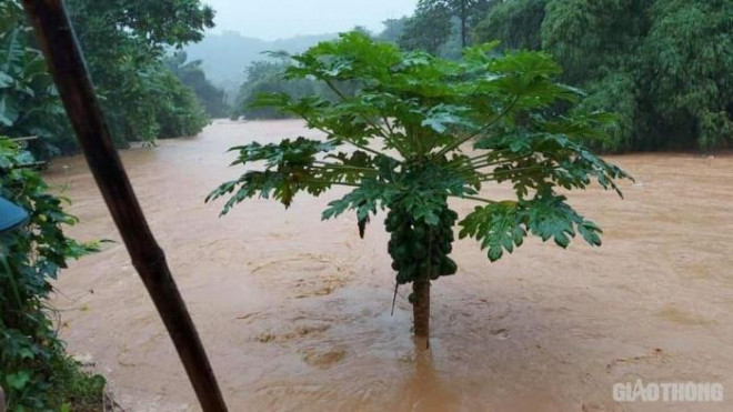 Mưa lớn lịch sử ở Lào Cai, bé 3 tuổi bị nước tràn vào nhà cuốn trôi - 2