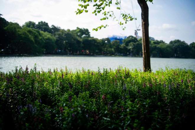 Hồ Gươm “thay áo mới” đẹp ngỡ ngàng, người Hà Nội đi dạo tận hưởng tiết trời mùa Thu dịu mát - 10