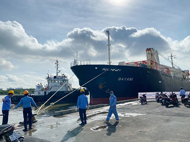 Ảnh tàu metro được đặt lên xe siêu trường, siêu trọng khi về đến TP.HCM - 2