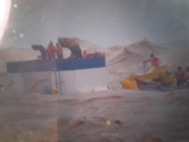 Trực tiếp: Ứng cứu 8 thuyền viên mắc kẹt trên con tàu đắm ở Quảng Trị - 7