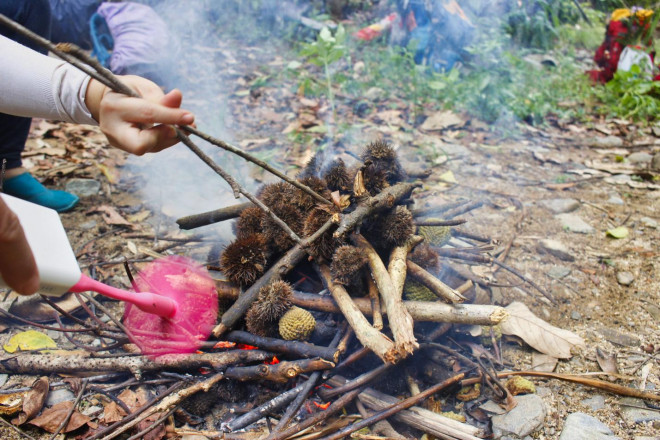 Lên Chư Mư ngắm Vọng Phu mờ sương - 4