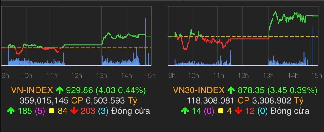 Có hay không chuyện Vietnam Airlines phá sản? - 1