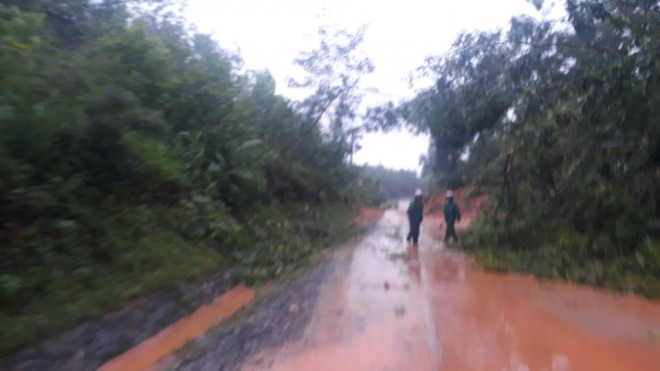 Sạt lở đất khiến khoảng 20 cán bộ, chiến sĩ thuộc sư đoàn 337 nghi bị vùi lấp - 2