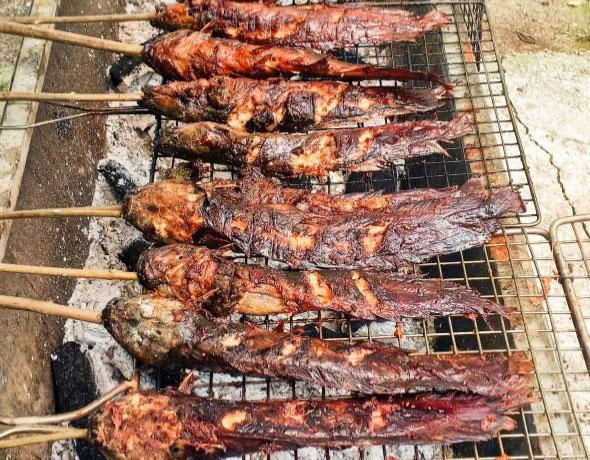 Suối Yến rộn ràng mùa hoa súng - 8