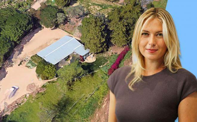 Tin nóng người đẹp tennis: Sharapova ngày càng giàu, Bouchard bị ong tấn công - 1