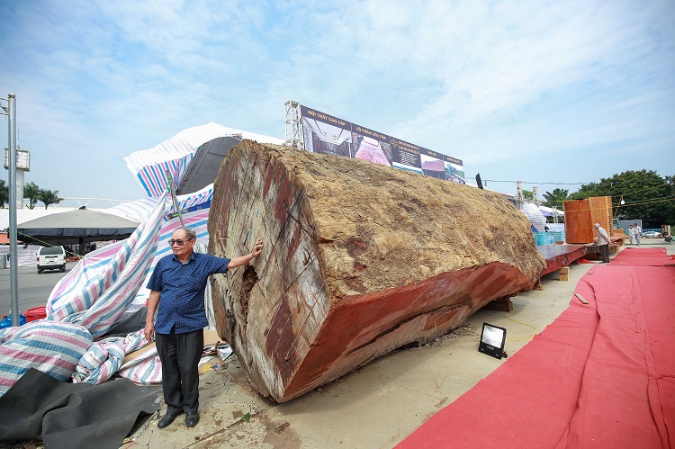 Ngỡ ngàng khúc gỗ cẩm lai nguyên sơ được rao bán 10 tỷ đồng ở Hà Nội - 1