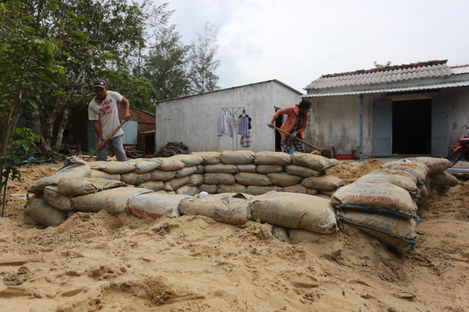 Người dân Quảng Nam đào hầm tránh bão số 9 - 4