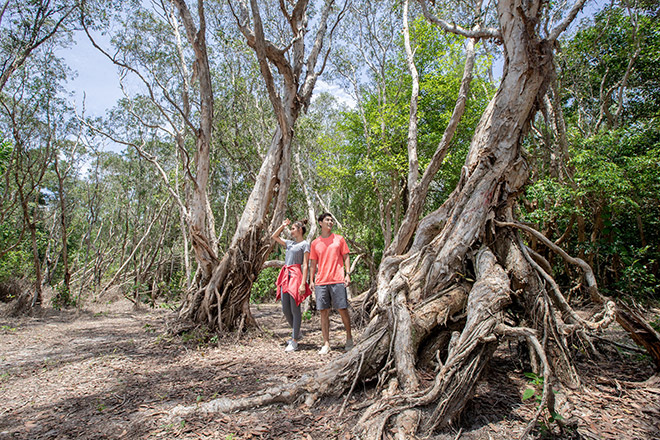7 trải nghiệm độc đáo khi du lịch Hồ Tràm - 2