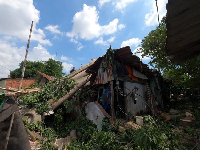 TP.HCM: Cây cổ thụ hơn 50 tuổi bật gốc đè nát dãy nhà trọ, nhiều người thoát chết - 3