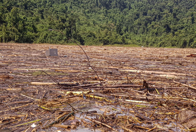 Tìm thi thể nạn nhân vụ sạt lở giữa lòng hồ thuỷ điện dày đặc cây rừng - 10