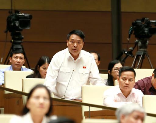 ĐBQH Sùng Thìn Cò: &#34;Muốn mua thịt lợn rẻ thì lên ti vi mà mua&#34; - 1