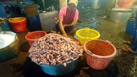 Top những điều không thể bỏ qua khi ghé Cần Thơ - 7