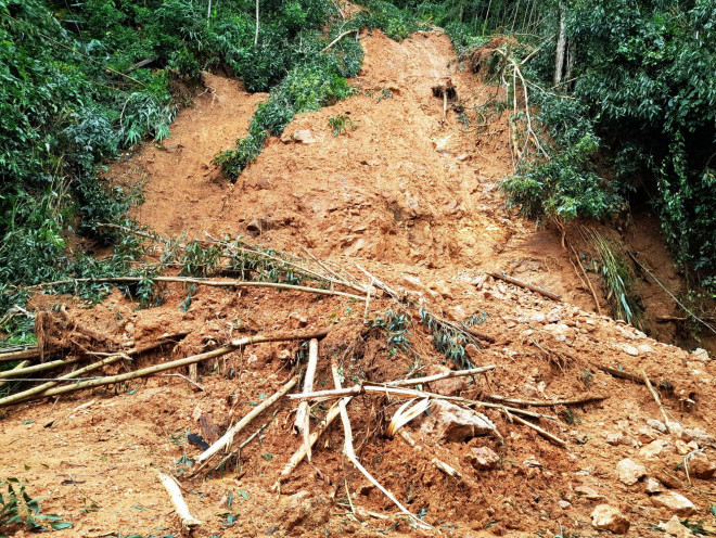 Cận cảnh sạt lở “hiếm thấy” tàn phá miền núi Bình Định - 2