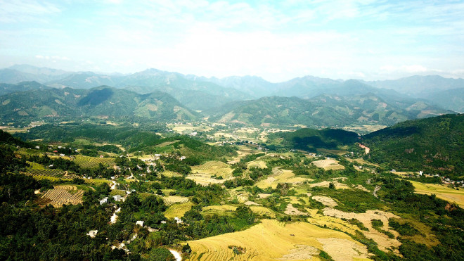 Bay trên mùa vàng Bình Liêu - 2