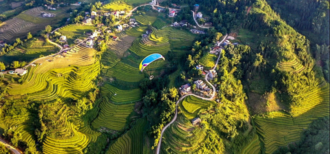 Bay trên mùa vàng Bình Liêu - 4