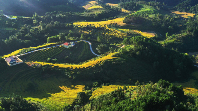 Bay trên mùa vàng Bình Liêu - 7