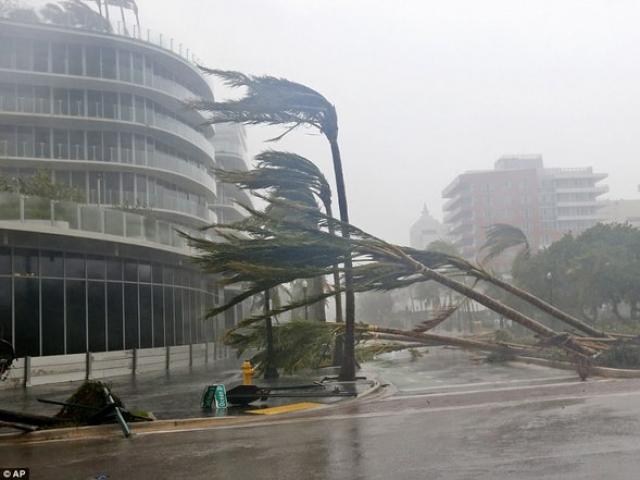 Tin tức trong ngày - Từ nay đến cuối năm 2020, còn bao nhiêu cơn bão ảnh hưởng tới Việt Nam?
