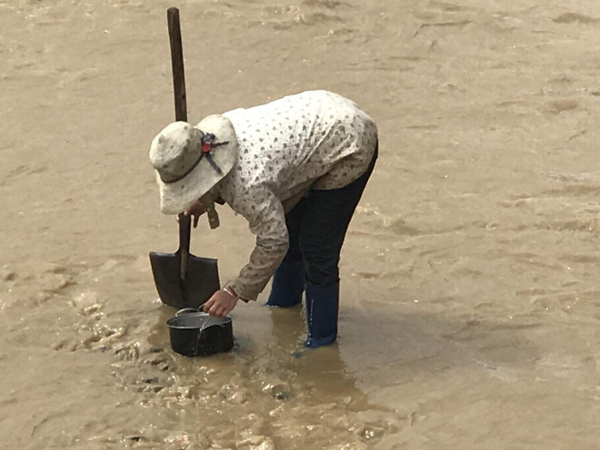 CLIP: Bất chấp nguy hiểm, người dân liều mình đãi vàng dưới hạ du thủy điện - 6
