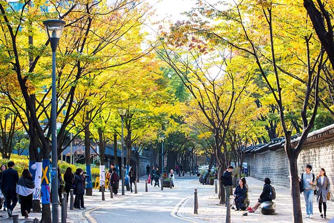 Được biết đến với nhiều quang cảnh đẹp nhất thế giới, Hàn Quốc có nhiều địa điểm quay phim nổi tiếng, đem lại cho bạn những cảm xúc đầy tuyệt vời khi thưởng thức hình ảnh. Thử đến với một số điểm nổi bật như Seoul và Busan, sẽ mang đến cho bạn những ảnh đẹp nên thơ và ấn tượng, tạo điều kiện cho bạn trở thành một ngôi sao thực sự.