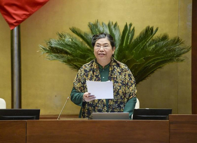 Nhiều đại biểu phản đối tách Luật Giao thông đường bộ - 2