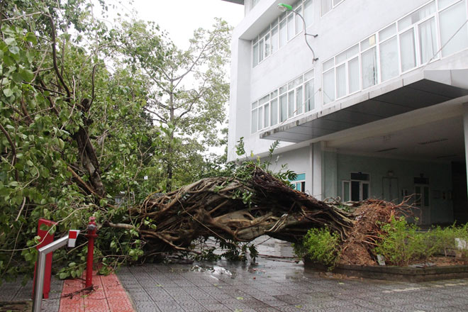 Hiện tượng La Nina tiếp tục duy trì, bão và không khí lạnh sẽ diễn biến thế nào? - 1