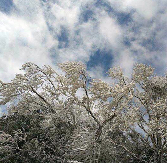 The La Niña phenomenon continues, how will storms and cold air pass?  - 2