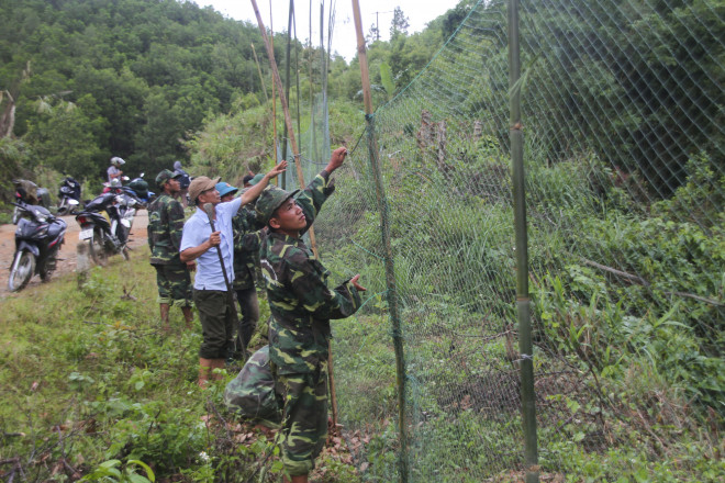 After the storm, white-nosed langurs rushed down the road to attack people - 3