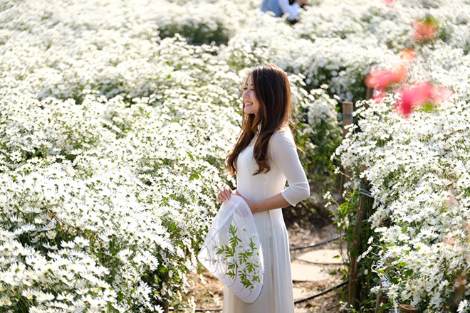 Giới trẻ nô nức check in ở thung lũng hoa lớn nhất Hà Nội - 3