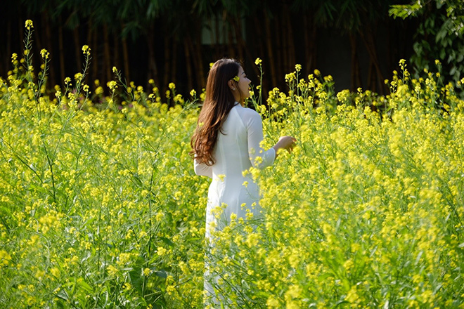 Giới trẻ nô nức check in ở thung lũng hoa lớn nhất Hà Nội - 6