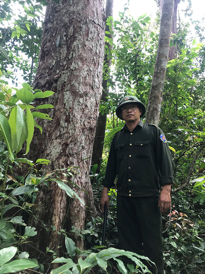Chuyện ít biết về những người ăn ngủ ở rừng sâu, chặn đứng… tiếng máy cưa của lâm tặc - 3