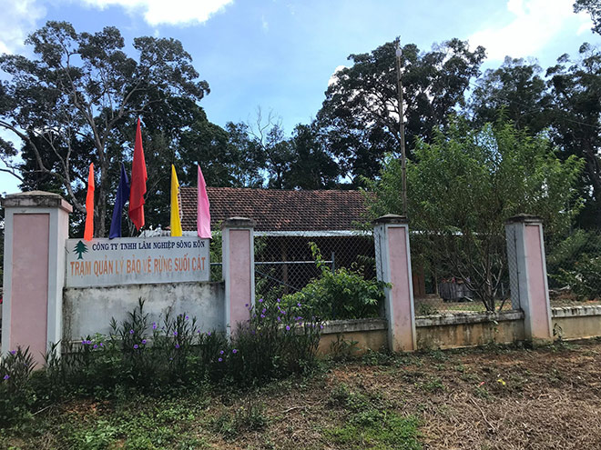 Chuyện ít biết về những người ăn ngủ ở rừng sâu, chặn đứng… tiếng máy cưa của lâm tặc - 4