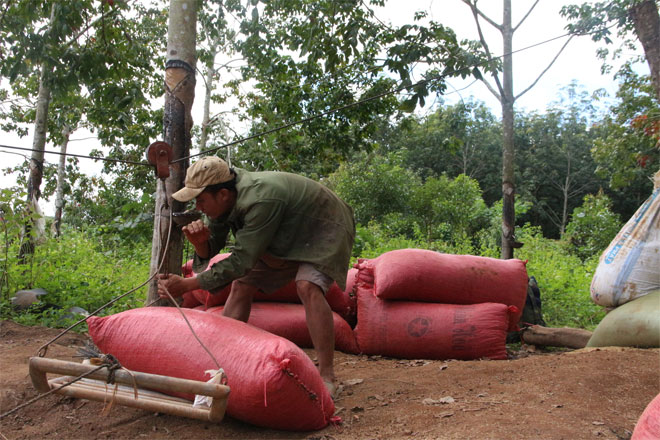 Bão đánh sập cầu treo, người dân đu dây như diễn viên xiếc qua sông Pô Kô - 6