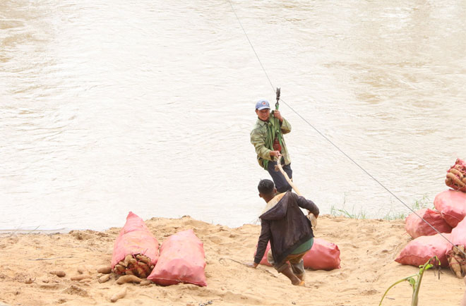 Bão đánh sập cầu treo, người dân đu dây như diễn viên xiếc qua sông Pô Kô - 9