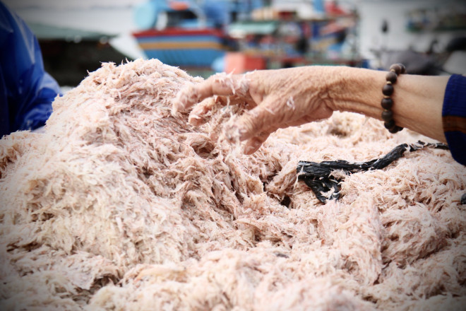 Ha Tinh Fishermen Dive into the Sea and Collect Millions of Money Every Day - 2