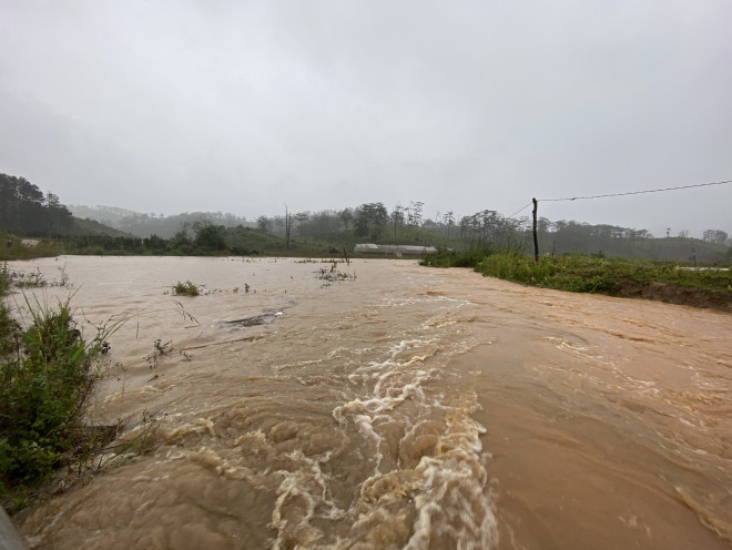 Lam Dong: Floods washed away 4 tourists, 2 disappeared - 4