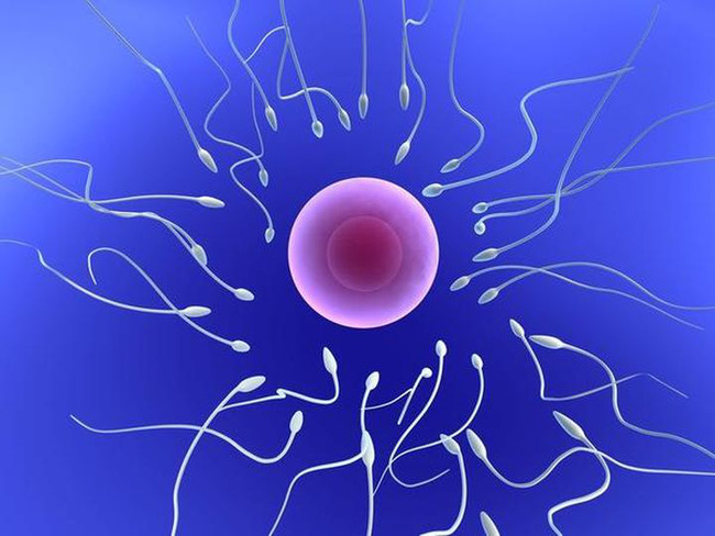 Three things that men often do are the culprits that kill sperm and harm health - 1