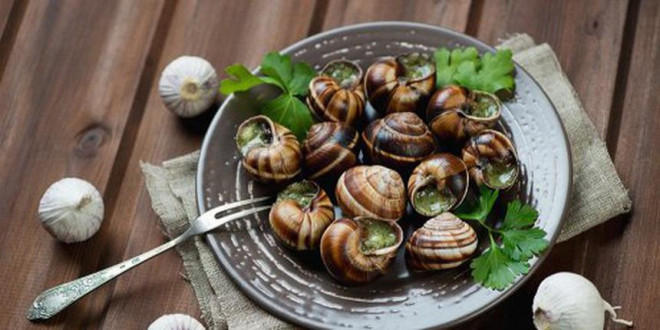 Chẳng ngờ những đặc sản lạ mắt, lạ miệng làm từ con vật vừa trơn vừa nhớt lại khiến vạn người mê mẩn - 12