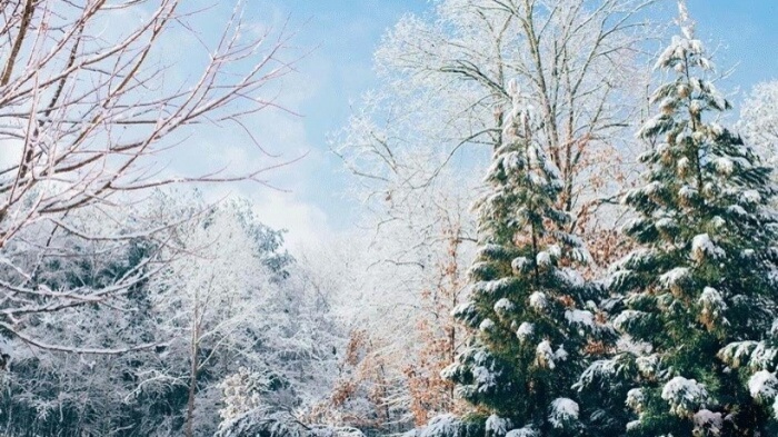 Lịch nghỉ Tết Dương lịch 2021 chính thức - 2