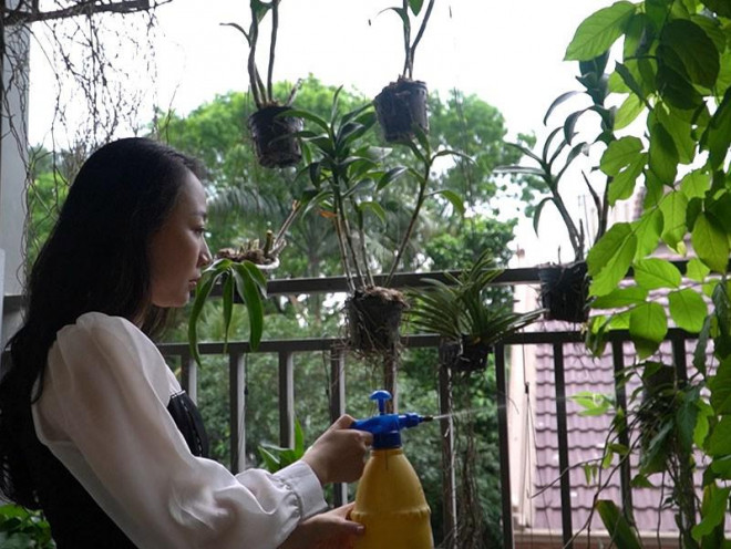 Dư âm phiên xử tài xế Mercedes tông tiếp viên hàng không - 2