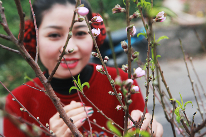 Đào Nhật Tân xuống phố, người Hà Nội xốn xang Tết đã cận kề - 8