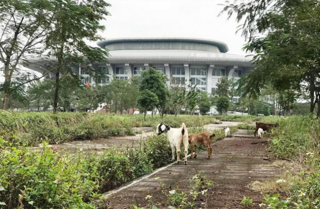 Xót xa "nhà thi đấu nghìn tỷ" im ắng, dê tung tăng đi dạo? - 2